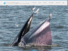 Tablet Screenshot of chomwhales.org